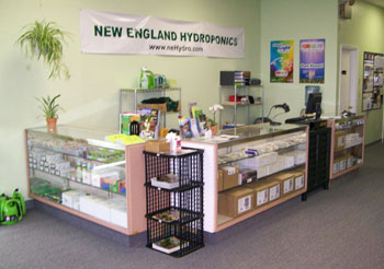 nehstorecounter350.jpg