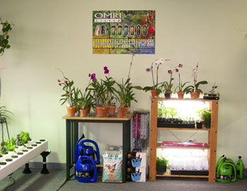 nehstoreorchids350.jpg