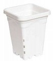 Square White Pot - 5" x 5" x 7"