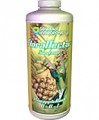 FloraNectar PineappleRush 32oz