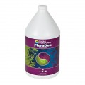 FloraDuo "B" 128oz
