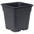 Square Black Plastic Pot 12"
