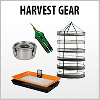 cat-four-button-harvest.jpg
