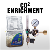 neh-web-category-co2-enrichment.jpg