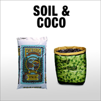 neh-web-category-siol-coco.jpg